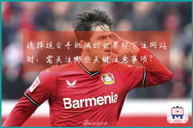 选择适合手机端的世界杯下注网站时，需关注哪些关键注意事项？