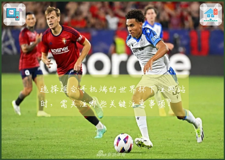 选择适合手机端的世界杯下注网站时，需关注哪些关键注意事项？